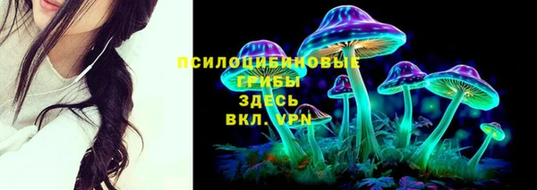 герыч Сафоново