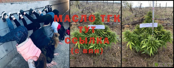 мяу мяу мука Алзамай