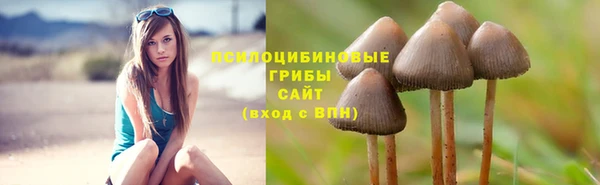 стафф Алексеевка