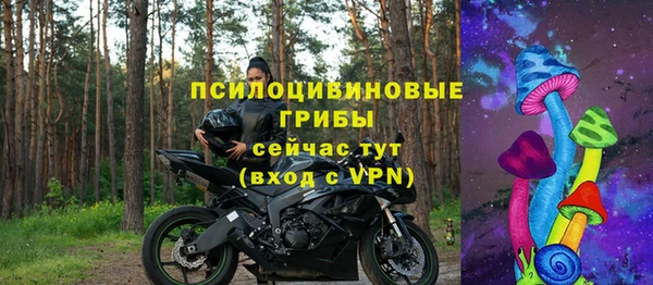 герыч Алексин