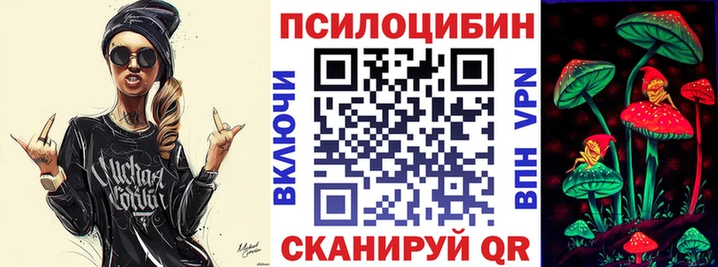 купить наркотики цена  Изобильный  Псилоцибиновые грибы Psilocybe 