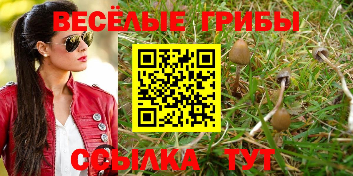 Псилоцибиновые грибы MAGIC MUSHROOMS  Вход с VPN  где найти   Изобильный  Галлюциногенные грибы GOLDEN TEACHER 