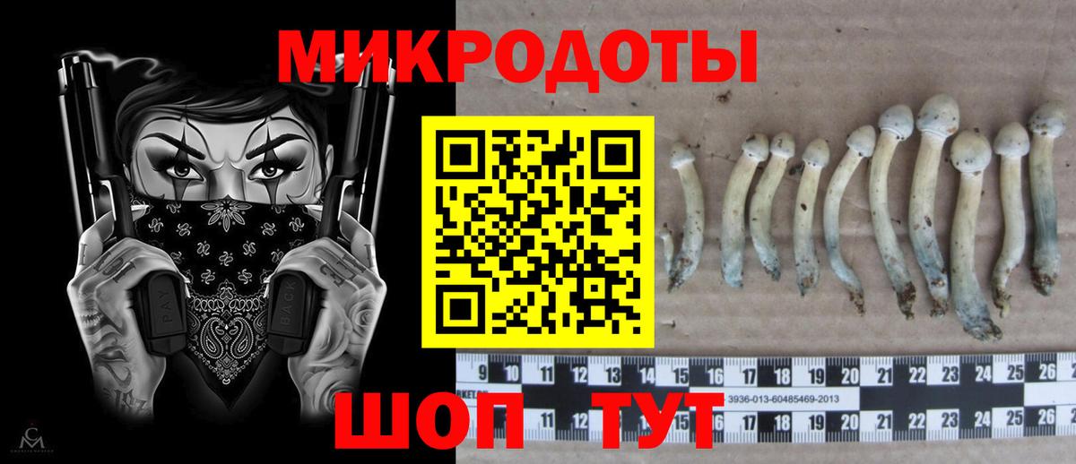 Галлюциногенные грибы Cubensis Изобильный